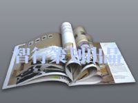 智行策划设计(东莞) 一站式创意与设计解决方案专家